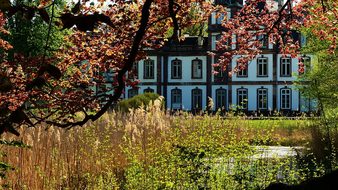 France, Strasbourg, Castle, Tree, Nature