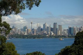 Sydney Port Sea View Boats Ocean Australia