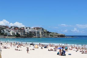 The Sea Beach Australia Sydney Bondi Beach