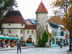 Old Town Old Medieval Town Tallinn Estonia