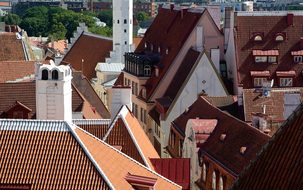 Estonia Tallinn Roofing Tiles Architecture