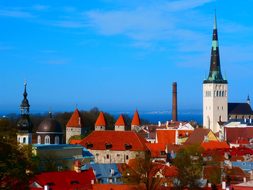 Oleviste Churches Old Town Red Roof Tallin