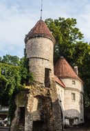 Estonia, Baltic States, Reval, Tallinn