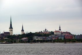 Tallinn City Estonia Town Europe Tallinn T
