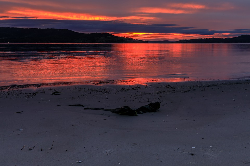 Cost of living and prices in Tasmania Updated Jun 2021 TravelTables