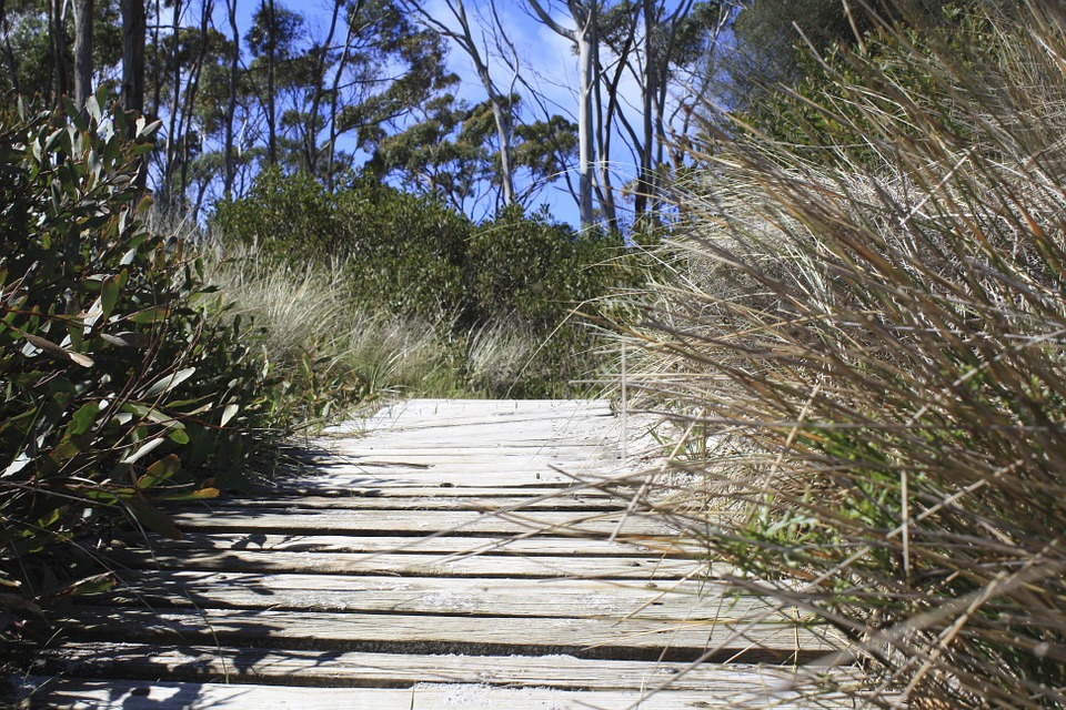 Cost of living and prices in Tasmania Updated Jun 2021 TravelTables