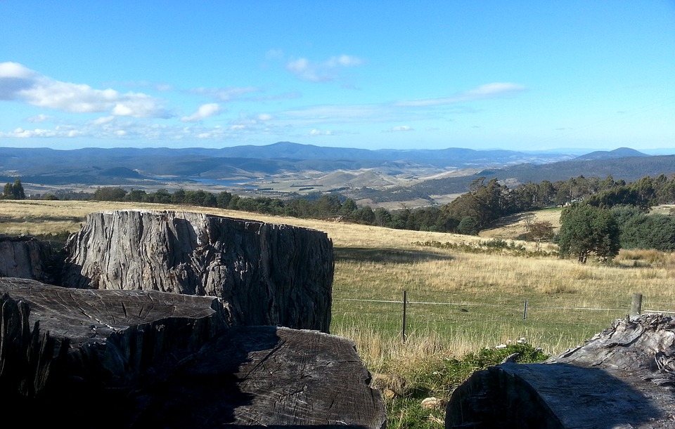 Cost of living and prices in Tasmania Updated Jun 2021 TravelTables