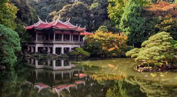 Tokyo, Park, Nature, Japan, Asia