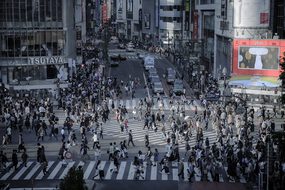 Shibuya, Intersection, Skyline, Outdoors