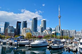 Toronto Canada Cn Tower Skyscrapers Buildi