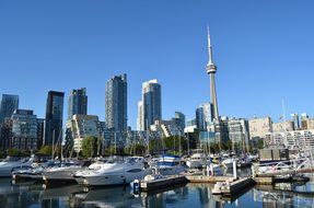 Toronto Canada Cn Tower Skyscrapers Buildi
