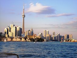 Toronto Skyline Cityscape Skyscraper Urban