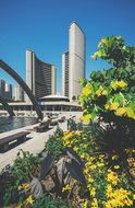 Toronto City Hall New City Hall Toronto Ca
