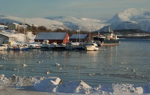 Norway, Lapland, Tromso, Fjord, Port