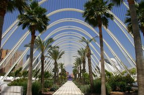 Valencia Spain Europe Travel History Summe