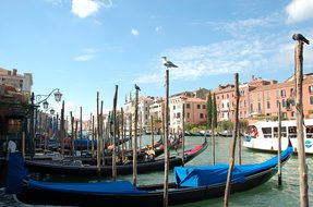 Venetian, Canal, Gondola, Boat, Water