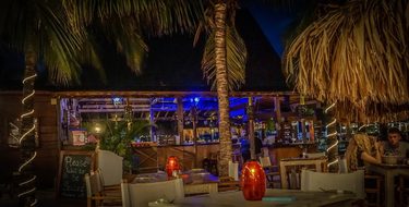 Night, Curacao, Willemstad, Blue, Bar